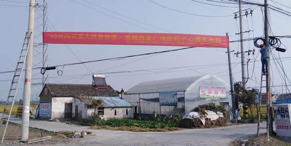 凰騰·海姜廣場(chǎng)鄉(xiāng)村（鎮(zhèn)）條幅制作安裝