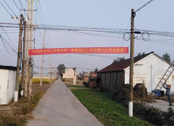 凰騰·海姜廣場(chǎng)鄉(xiāng)村（鎮(zhèn)）條幅制作安裝
