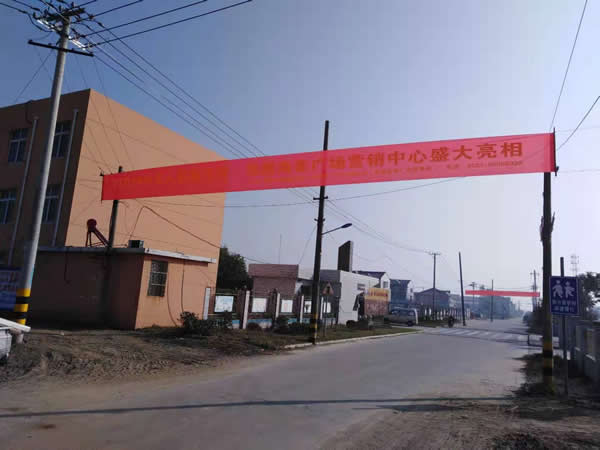 凰騰·海姜廣場(chǎng)鄉(xiāng)村（鎮(zhèn)）條幅制作安裝