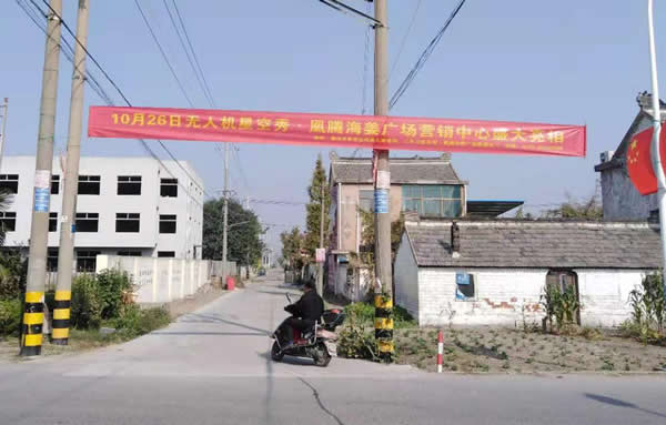 凰騰·海姜廣場(chǎng)鄉(xiāng)村（鎮(zhèn)）條幅制作安裝