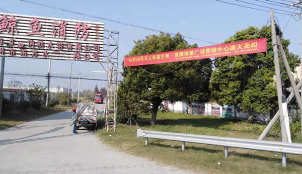 凰騰·海姜廣場(chǎng)鄉(xiāng)村（鎮(zhèn)）條幅制作安裝