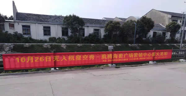 凰騰·海姜廣場(chǎng)鄉(xiāng)村（鎮(zhèn)）條幅制作安裝